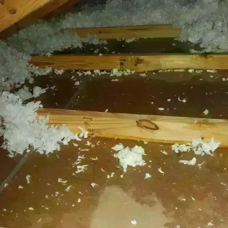 Attic Water Damage in Savannah, TX