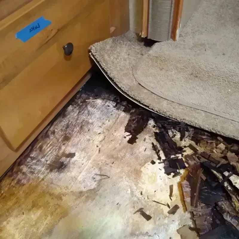 Wood Floor Water Damage in Savannah, TX